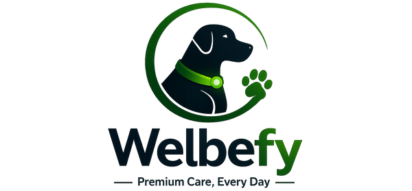 Welbefy